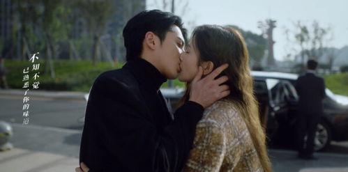 以爱为营电视剧国产剧在线观看,国产剧情感纠葛，在线观看温情再现