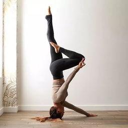 国产瑜伽女人在线视频网,国产瑜伽女人在线视频网带你领略瑜伽魅力