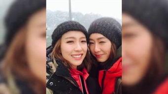 梨花似雪国产剧在线观看,雪中梨花，浪漫绽放，在线观看浪漫来袭