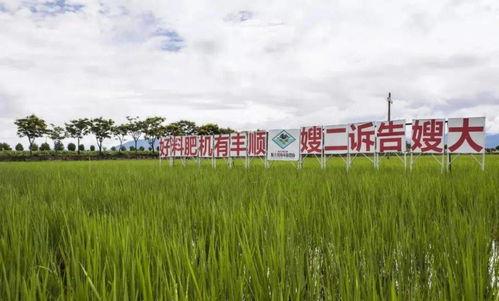 青青在线视频绿色国产